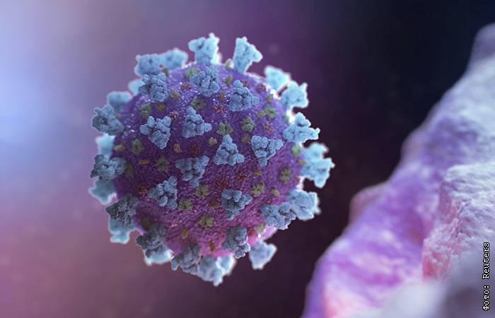 В России создали запас из 700 тыс. тест-систем на коронавирус