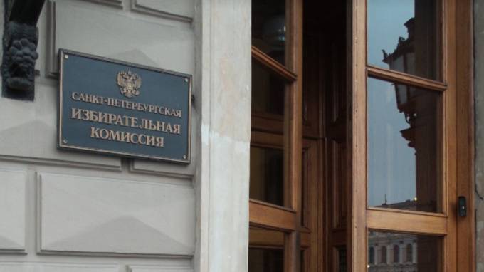 Горизбирком получил 326 миллионов рублей на проведение голосования по Конституции