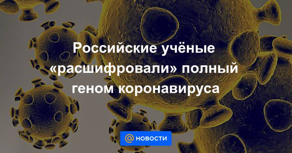 Российские учёные «расшифровали» полный геном коронавируса
