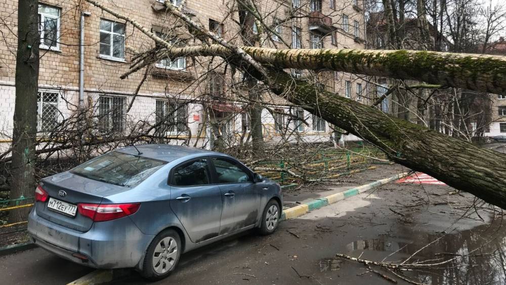 Гидрометцентр предупредил москвичей об ураганном ветре