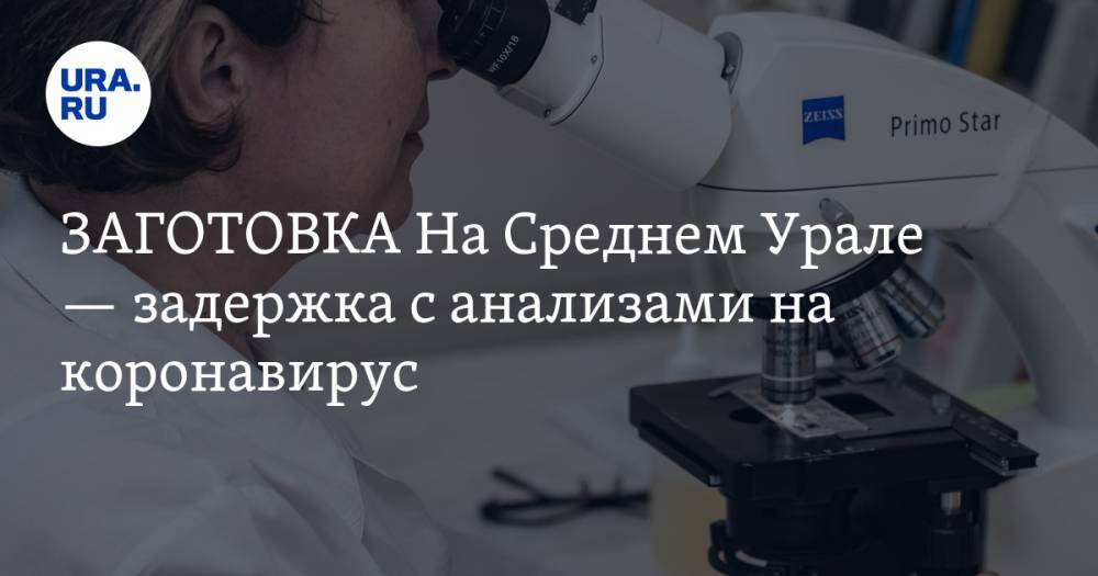 ЗАГОТОВКА На Среднем Урале — задержка с анализами на коронавирус. «Больных класть некуда»