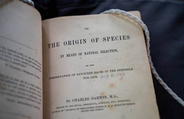 Впервые доказана одна из теорий эволюции Дарвина