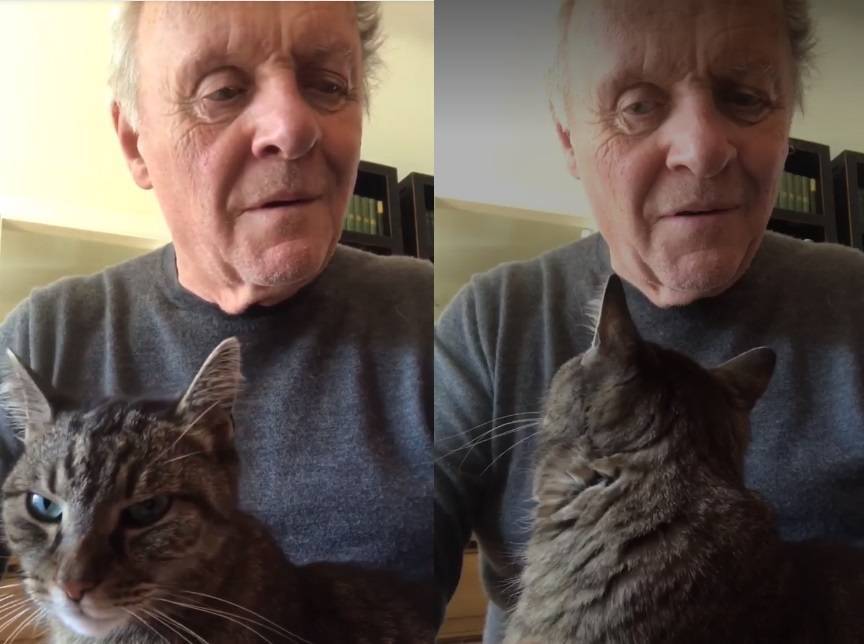 Видео Энтони Хопкинса с котом стало вирусным и набрало два миллиона просмотров