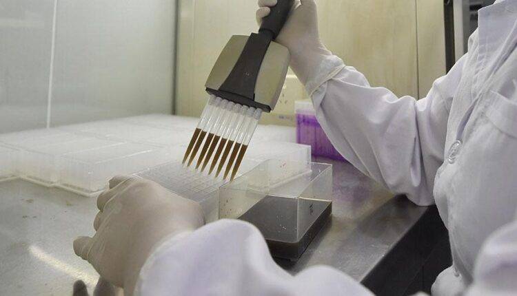 Российские ученые выделили полный геном коронавируса