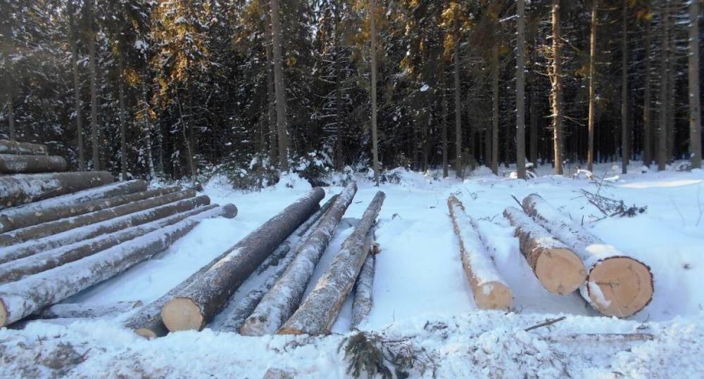 Сергей Гапликов утвердил план тушения пожаров на территории 32 лесничеств республики