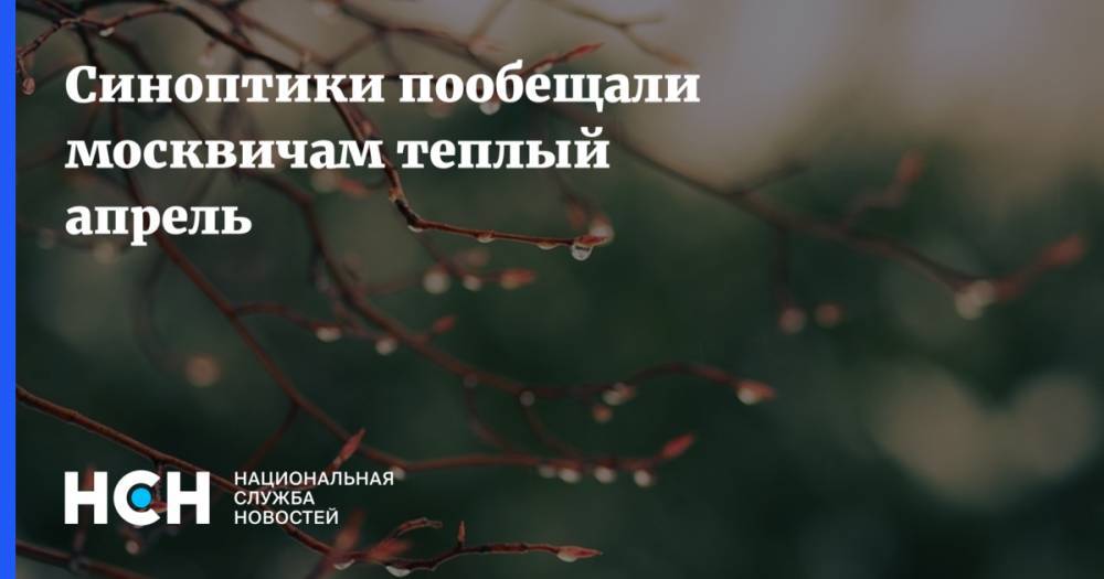 Синоптики пообещали москвичам теплый апрель