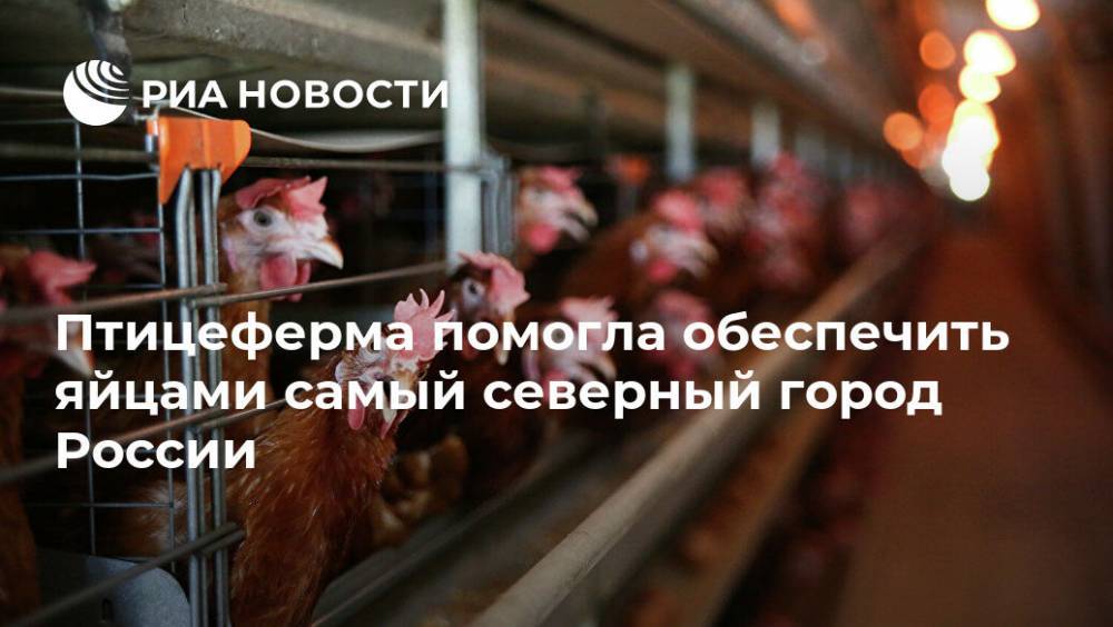 Птицеферма помогла обеспечить яйцами самый северный город России