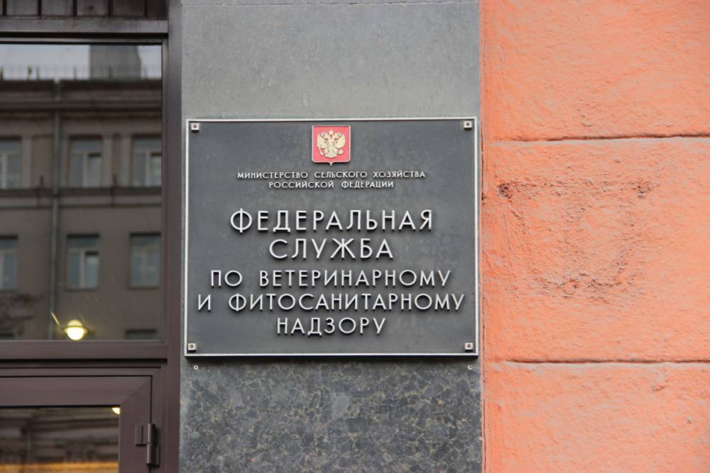 Более двух тыс. сертификатов было оформлено на продукты с истекшим сроком в Петербурге