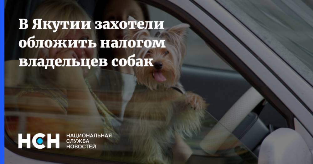 В Якутии захотели обложить налогом владельцев собак
