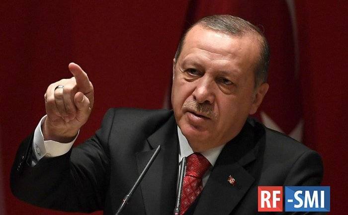 Эрдоган: Турцию в Идлиб пригласил народ Сирии