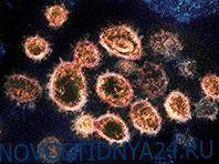 Ученые проверяют быструю систему диагностики коронавируса