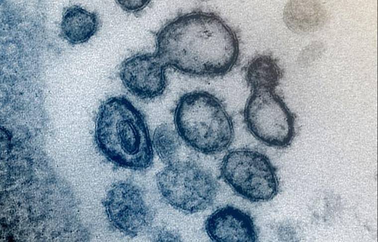 У вернувшегося из Италии россиянина подтвердили подозрение на коронавирус