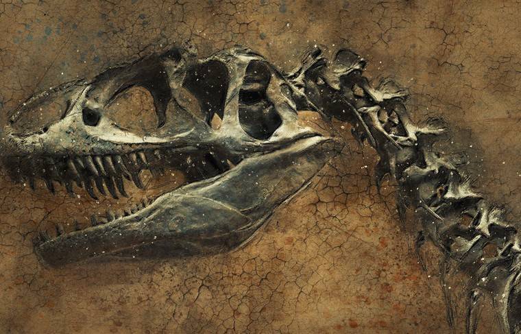 В костях динозавров обнаружили признаки ДНК