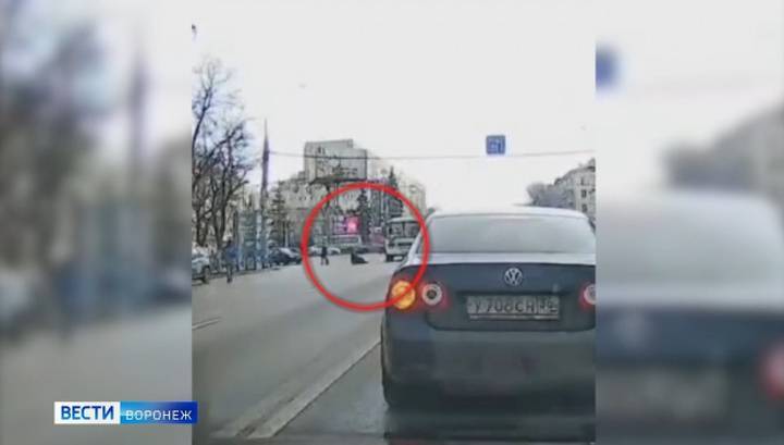 Водителя маршрутки в Воронеже оштрафовали за невнимательность к пешеходам