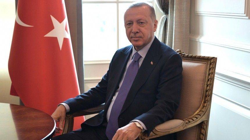 Эрдоган заявил об отсутствии проблем с РФ и Ираном в Сирии