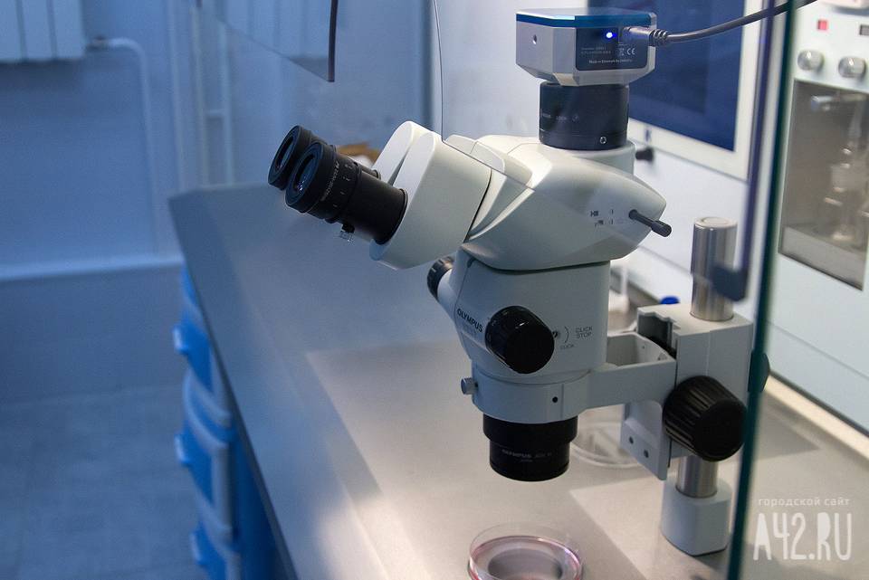Российские учёные показали первые снимки коронавируса под микроскопом