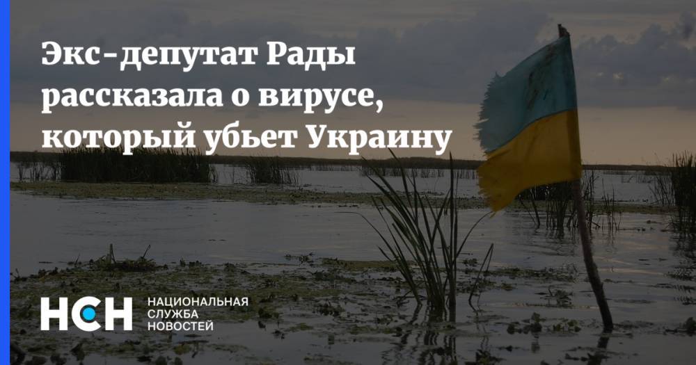 Экс-депутат Рады рассказала о вирусе, который убьет Украину