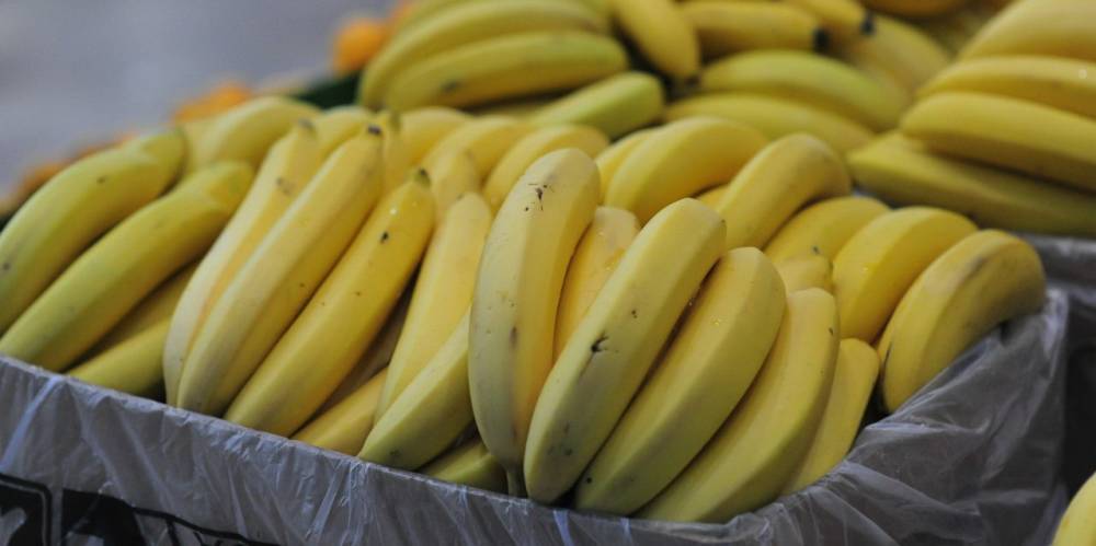 Политнавигатор - Украина превратилась в банановую корпорацию