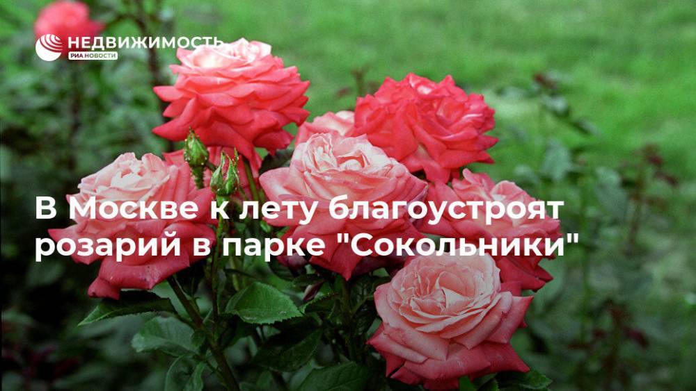 В Москве к лету благоустроят розарий в парке "Сокольники"