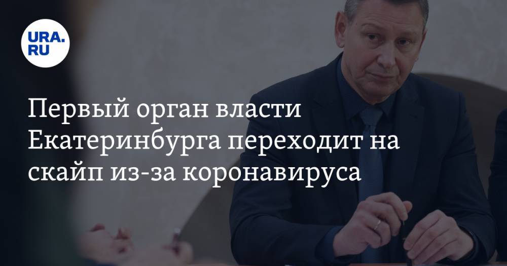 Первый орган власти Екатеринбурга переходит на скайп из-за коронавируса