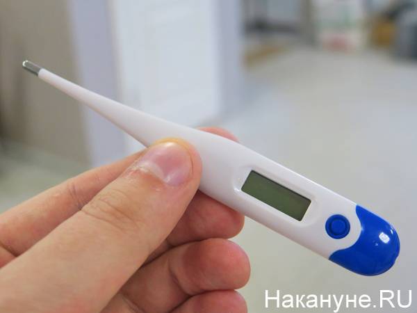 Главе Сургута и другим чиновникам измеряют температуру на входе в мэрию
