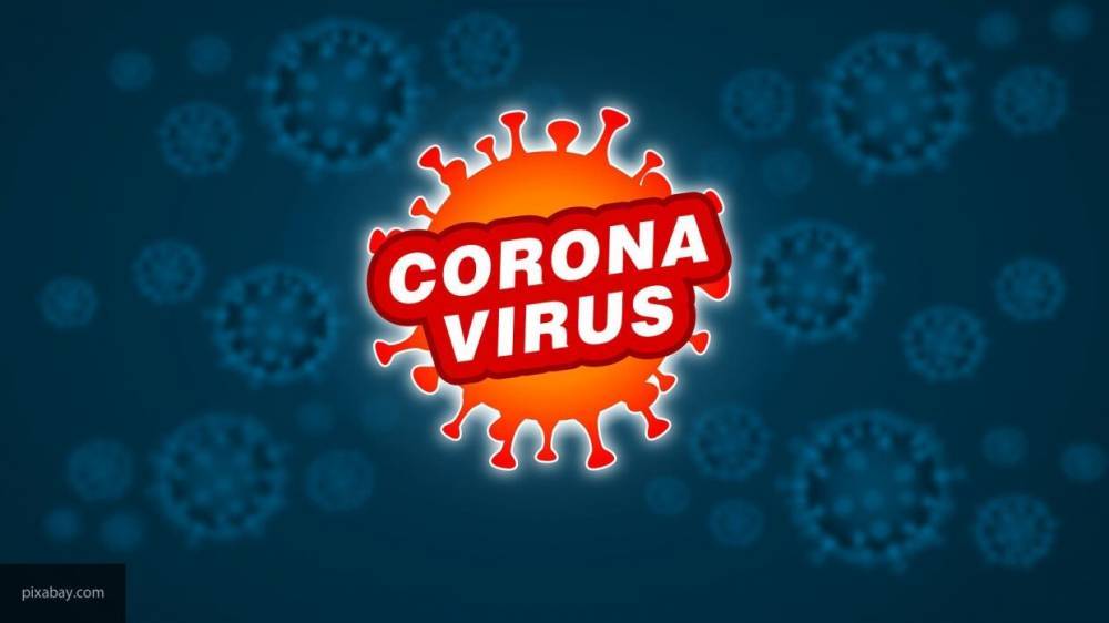 Власти Выборгского района минимизировали риски коронавируса для населения