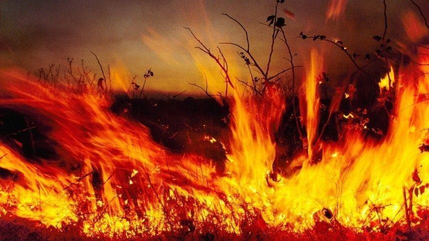 Лесные пожары охватили более 20 тысяч гектаров тайги в Сибири