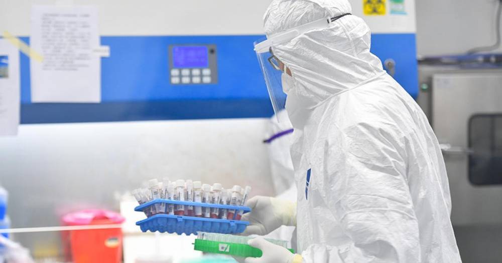 Мишустин сообщил об испытании 6 вакцин от коронавируса в России