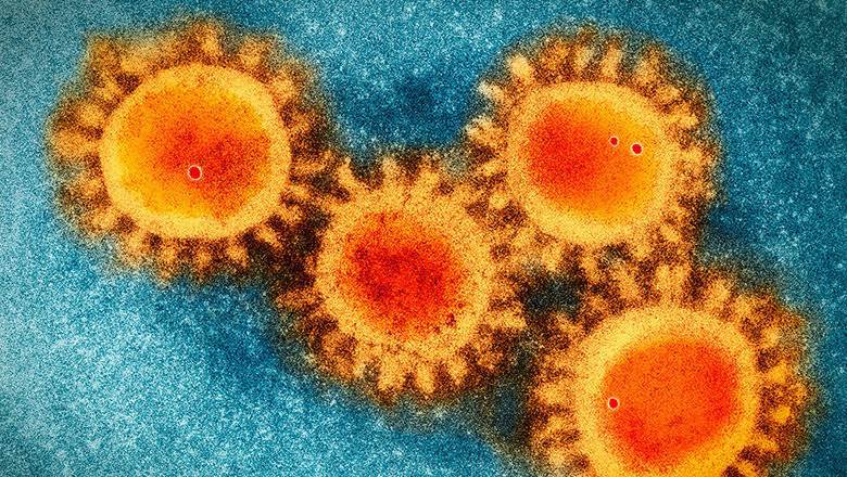 Сложно и дорого: почему человечество так и не научилось лечить вирусные заболевания