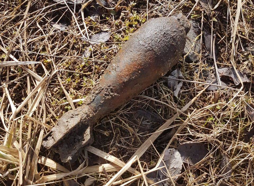 Сапёры обезвредили найденную мину времён ВОВ в Петродворце