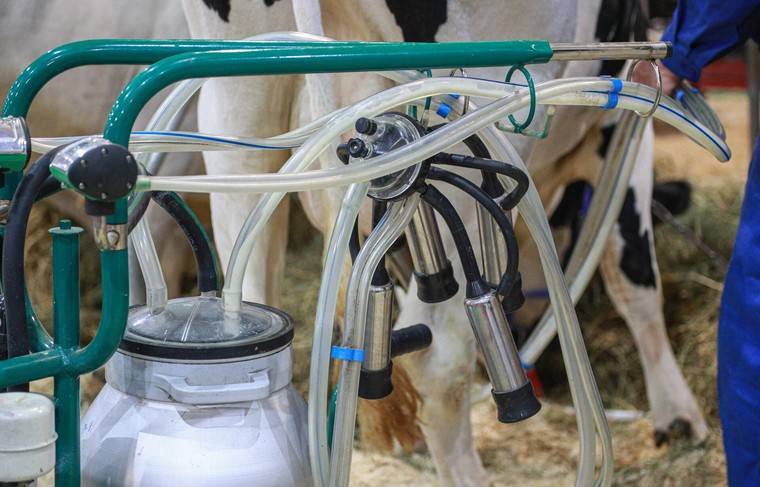 Минпромторг предлагает продлить сроки маркировки молочной продукции