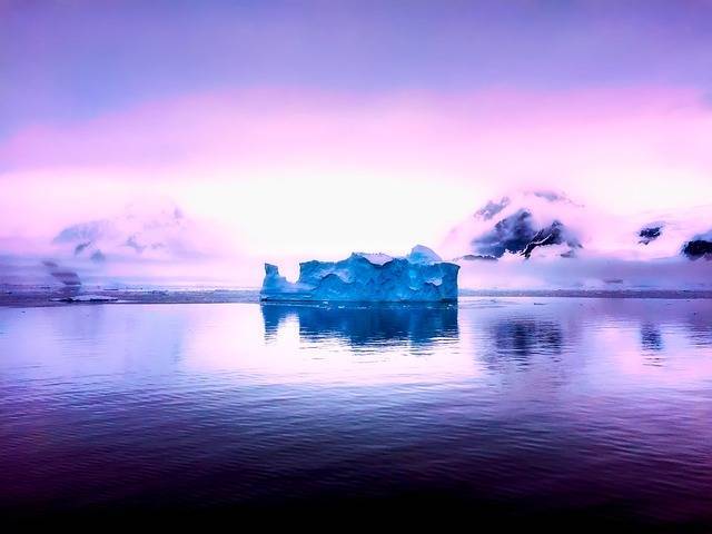 У берегов Антарктиды вода окрасилась в ярко-фиолетовый цвет - Cursorinfo: главные новости Израиля