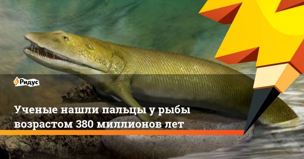 Ученые нашли пальцы у рыбы возрастом 380 миллионов лет