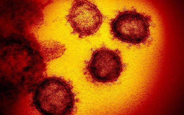 В Литве зафиксирована первая смерть от коронавируса