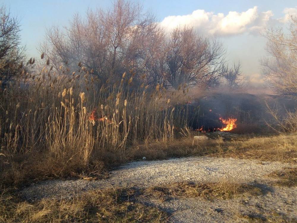 В Воронеже продолжает гореть сухая трава