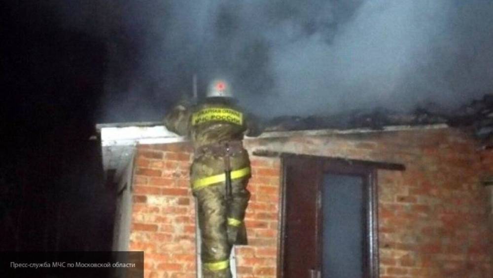 Сотрудники МЧС спасли двух маленьких котят во время пожара в Екатеринбурге