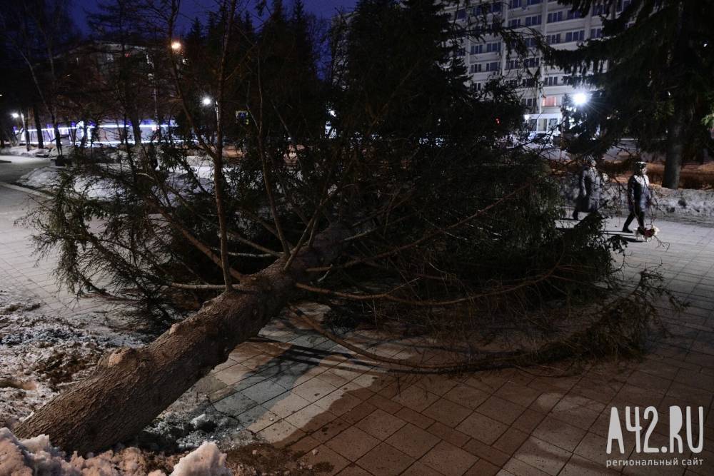 Ураганный ветер повалил дерево в центре Кемерова