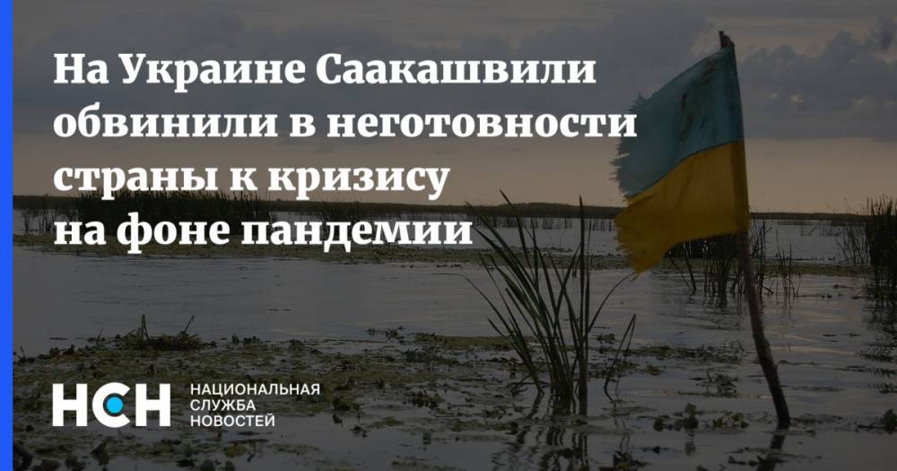 На Украине Саакашвили обвинили в неготовности страны к кризису на фоне пандемии
