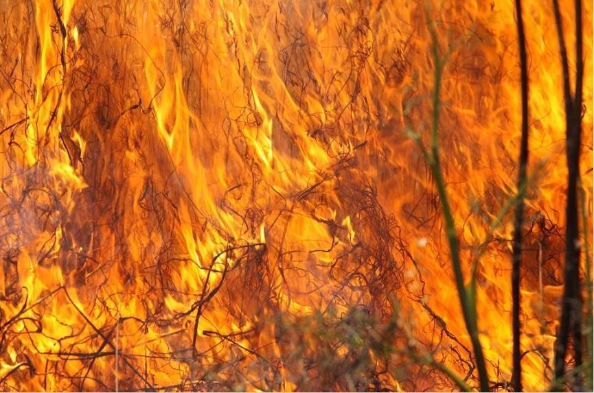 Крупной степной пожар угрожает деревне в Хакасии