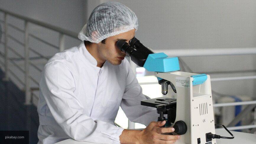 Вирусологический центр будет создан на базе Новосибирского НИИ