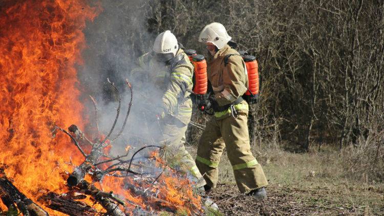 В Крыму и Севастополе объявили пожароопасный сезон