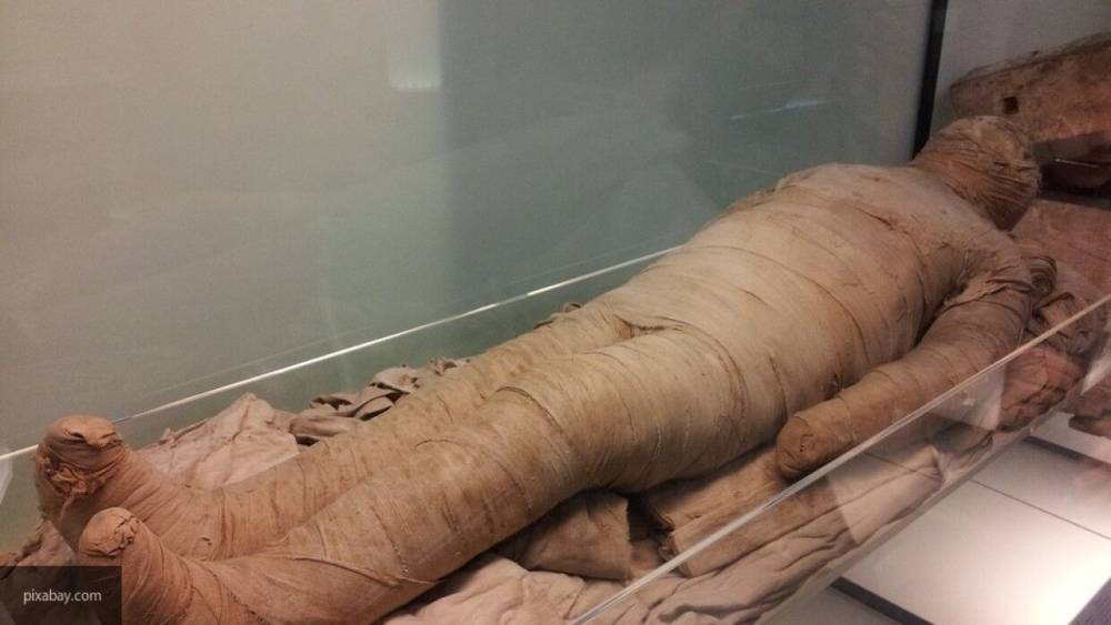 Рыбаки нашли мумию в Саратове
