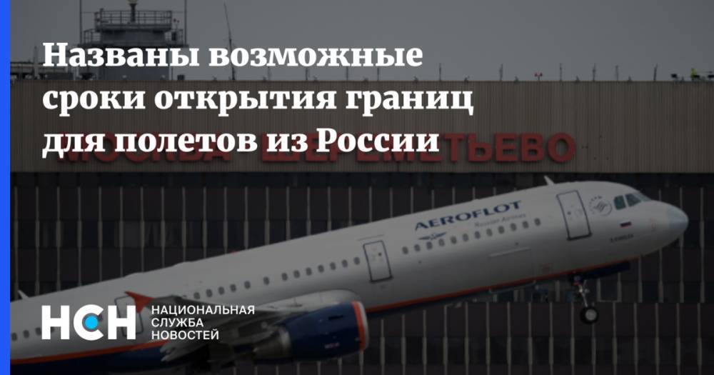 Названы возможные сроки открытия границ для полетов из России