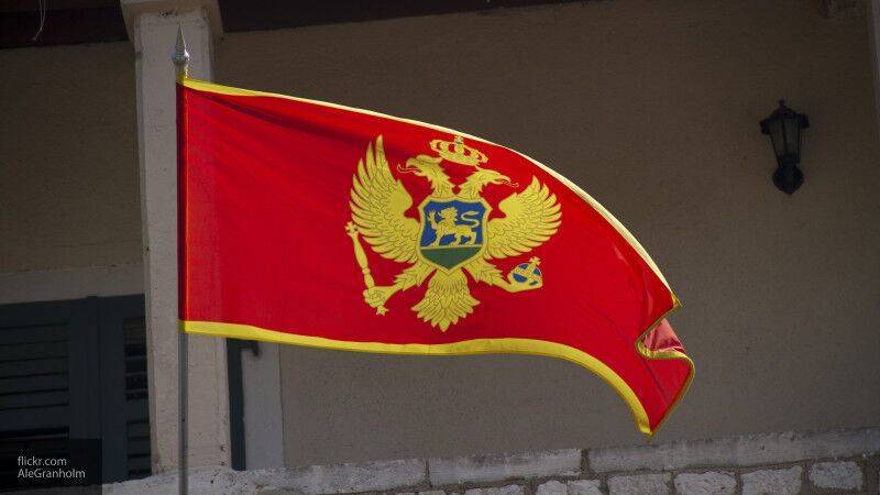 Россиянку в Черногории подозревают в публикации недостоверных данных о COVID-19