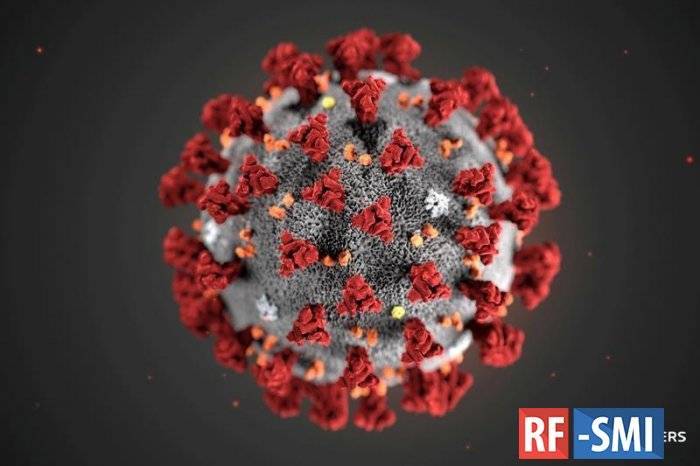 Названа новая причина высокой смертности от коронавируса в Италии