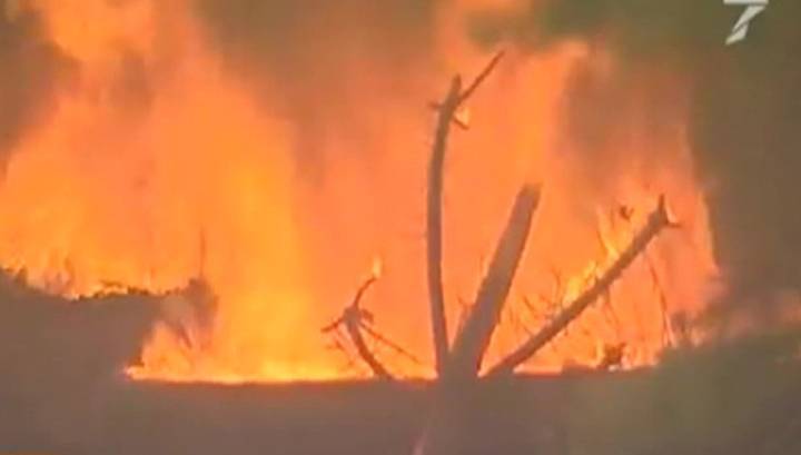 В Хабаровском крае зафиксированы первые лесные пожары