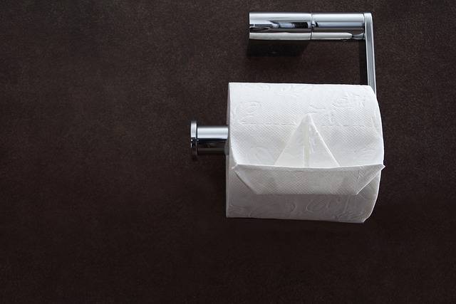 Назван способ рассчитать нужное количество туалетной бумаги на время карантина по коронавирусу