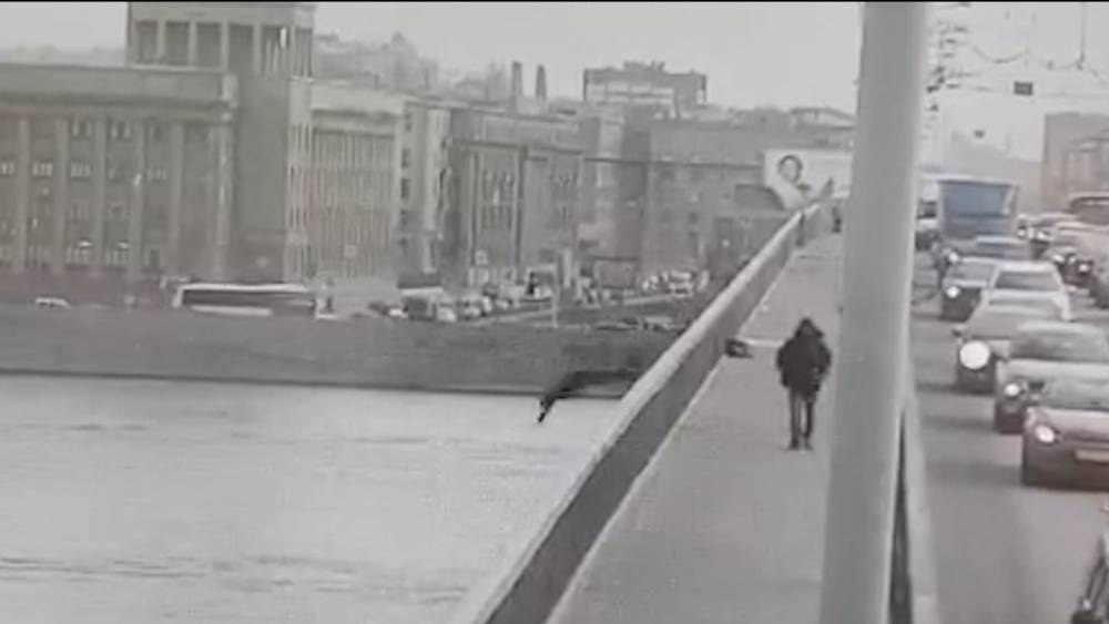 ВИДЕО: Мужчина прыгнул с моста Александра Невского в Петербурге.