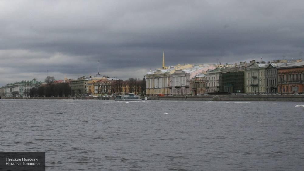 Камеры наблюдения зафиксировали падение мужчины с моста в Петербурге