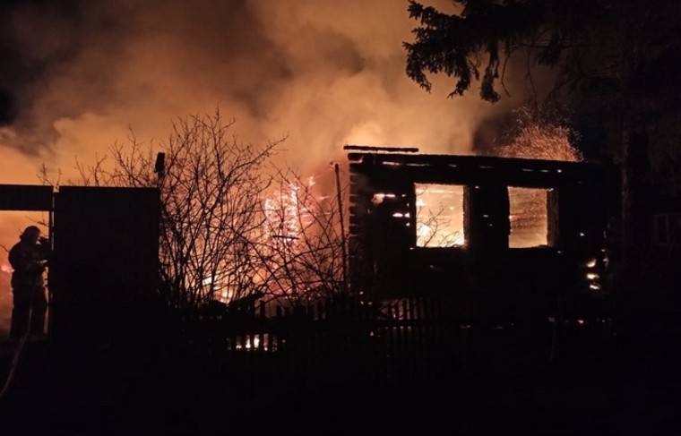 Трое детей и четверо взрослых погибли в пожаре под Пензой